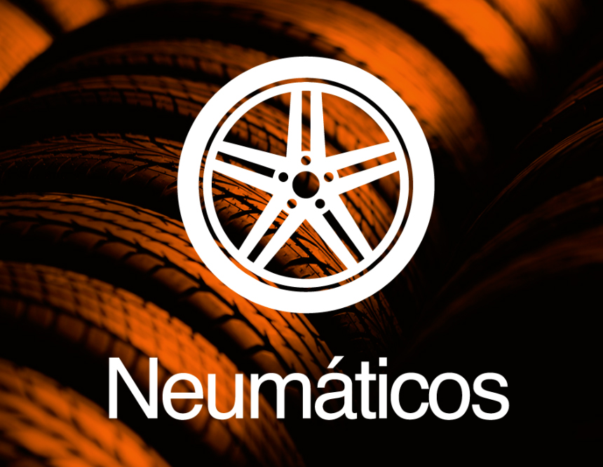 Neumaticos